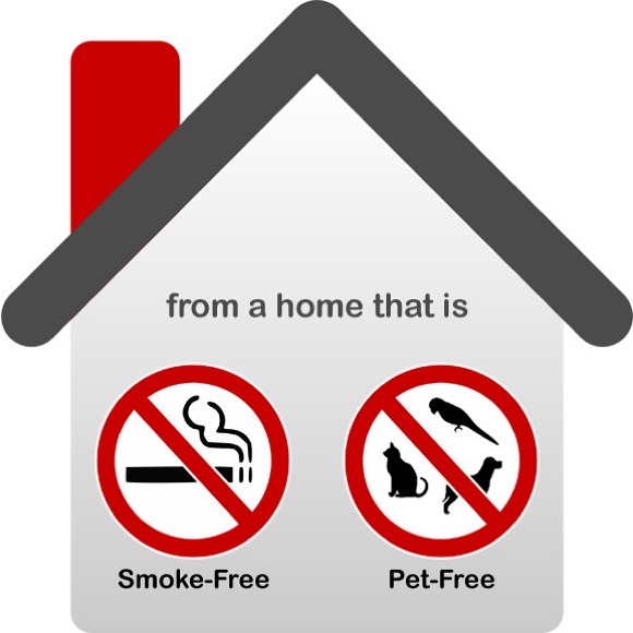 Welcome to The Princess Closet. Smoke Free π¬ Pet Free πΆ - Picture 3 of 6